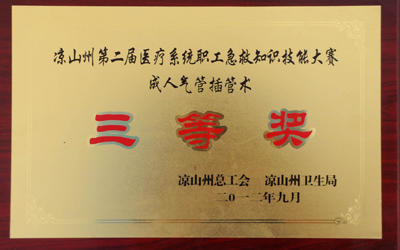 成人气管插技术三等奖