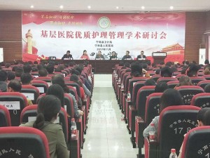 基层医院优质护理管理学术研讨会主题汇报