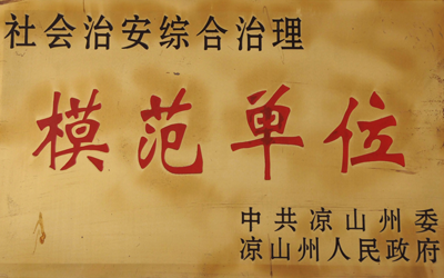 凉山州社会治安模范单位