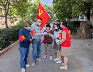 宁南县人民医院党委开展“护林防火党旗飘、备战一线践初心”主题党日活动