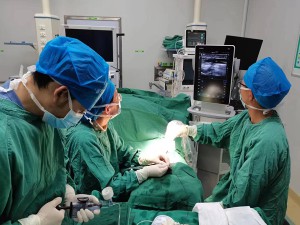 我院肾内科成功开展超声引导下动静脉内瘘闭塞后球囊扩张术（PTA）