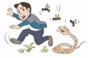 野外被蛇咬伤怎么办？这份急救指南能救命！
