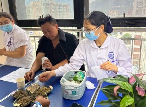 艾香传情·四季安康——宁南县人民医院中医科开展医患同制香囊活动