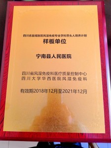 宁南县人民医院喜获“四川省县域医院风湿免疫专业学科带头人培养计划样板医院”称号